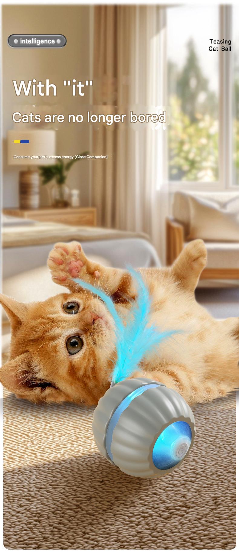 猫咪智能互动球（TikTok 宠物爆款） - 10