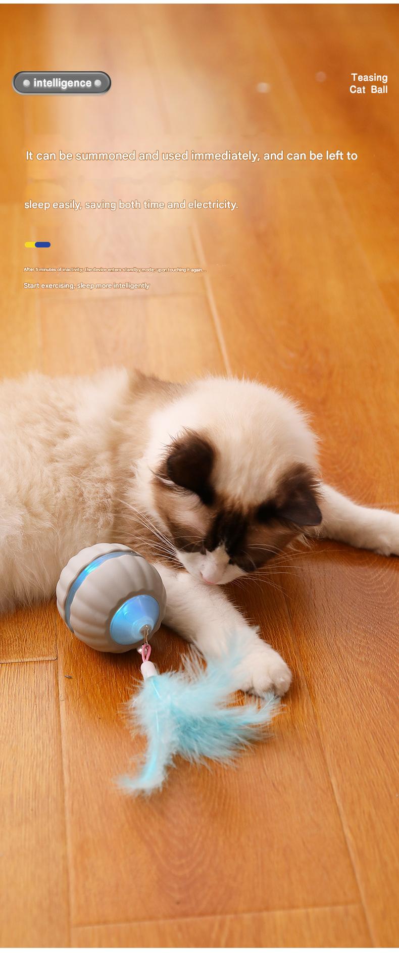猫咪智能互动球（TikTok 宠物爆款） - 11