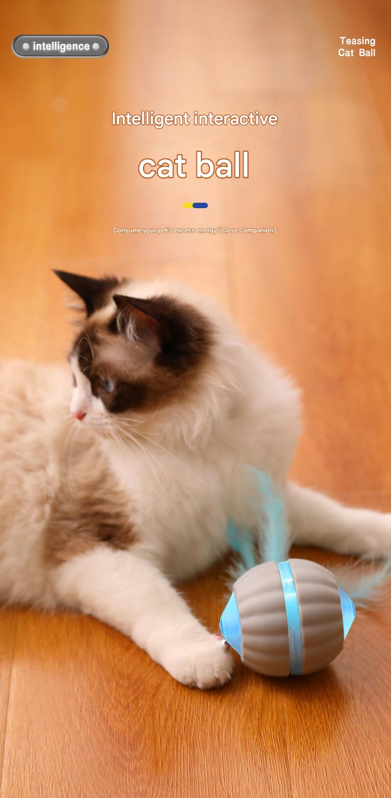 Image 5 - 猫咪智能互动球（TikTok 宠物爆款）