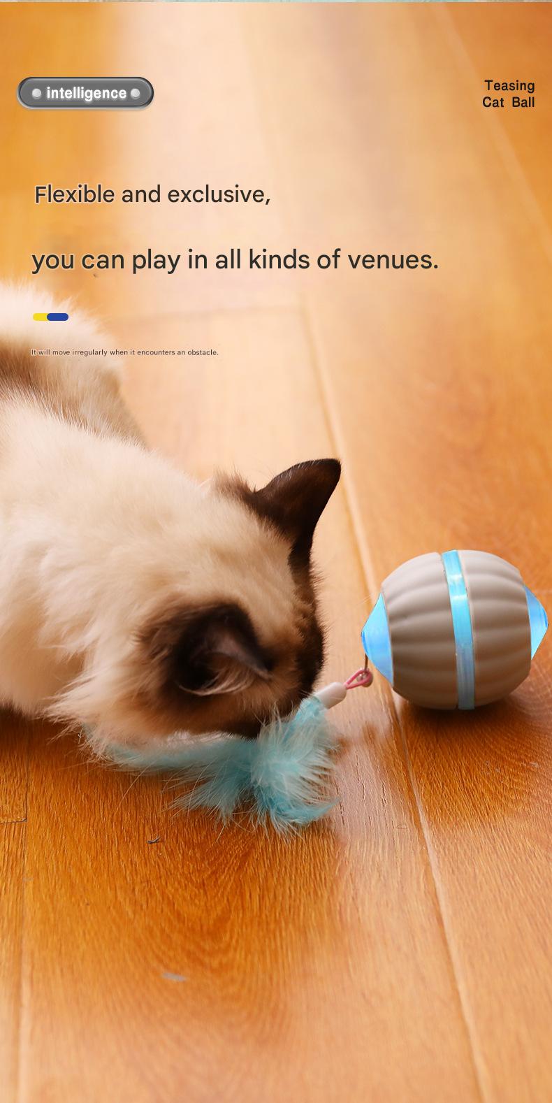 猫咪智能互动球（TikTok 宠物爆款） - 8